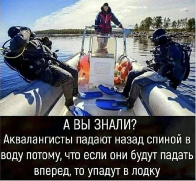 Фото, ломающие мозг: 15 кадров без логики