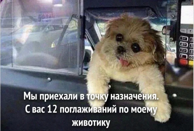 Фото, ломающие мозг: 15 кадров без логики приколы, странное, подборка, интересно