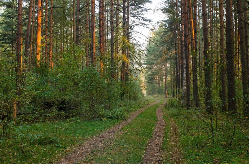 Невероятная природа России в 80 кадрах природа, россия, пейзаж, путешествия, фото