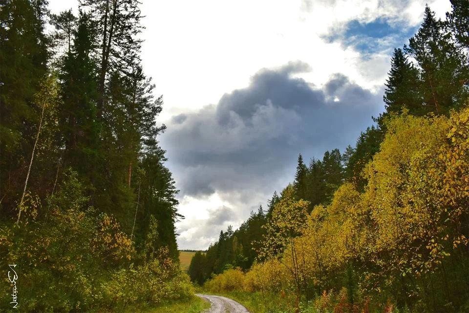 Невероятная природа России в 80 кадрах природа, россия, пейзаж, путешествия, фото