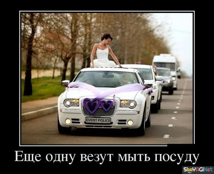 Убойные демотиваторы: заряд позитива Убойные демотиваторы: заряд позитива демотиваторы, юмор, приколы, подборка