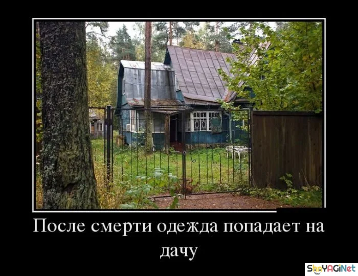 Убойные демотиваторы: заряд позитива Убойные демотиваторы: заряд позитива демотиваторы, юмор, приколы, подборка