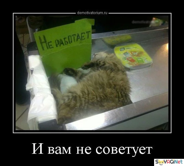 Убойные демотиваторы: заряд позитива Убойные демотиваторы: заряд позитива демотиваторы, юмор, приколы, подборка