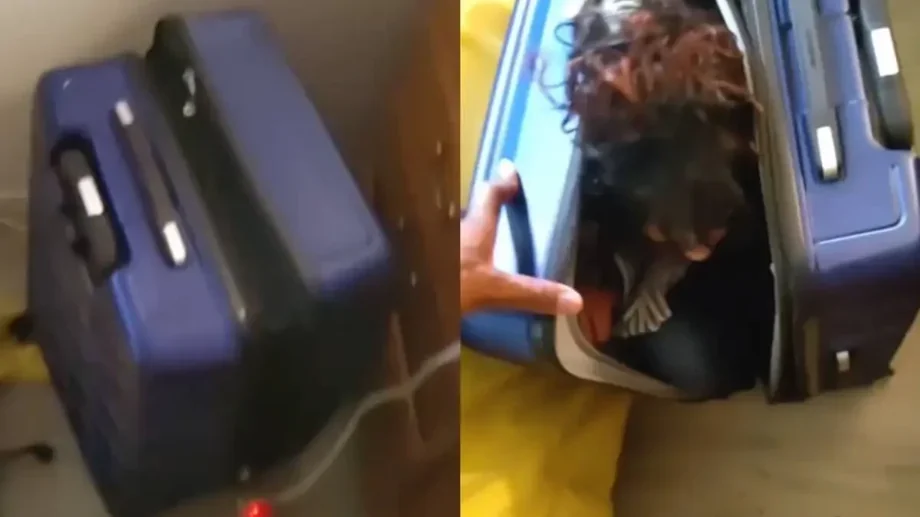 Необычное укрытие беглянки, которое не спасло её от поимки