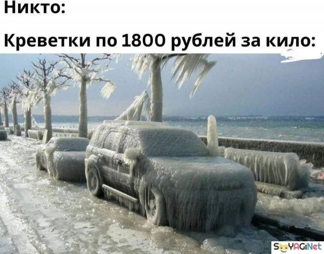 Соль августа: угарная подборка мемов Соль августа: угарная подборка мемов приколы, мемы, август, юмор, подборка, смешные картинки