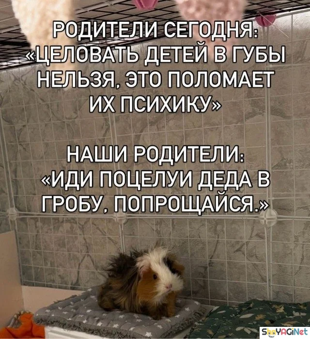 Соль августа: угарная подборка мемов Соль августа: угарная подборка мемов приколы, мемы, август, юмор, подборка, смешные картинки