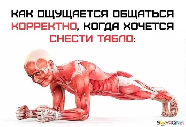 Соль августа: угарная подборка мемов Соль августа: угарная подборка мемов приколы, мемы, август, юмор, подборка, смешные картинки