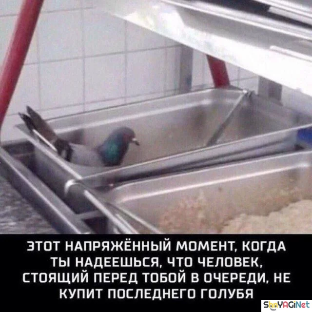 Соль августа: угарная подборка мемов Соль августа: угарная подборка мемов приколы, мемы, август, юмор, подборка, смешные картинки