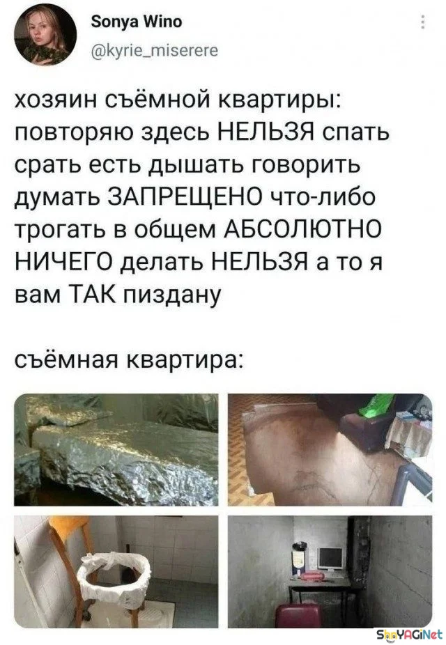 Смешные комментарии из соцсетей: августовская порция юмор, соцсети, комментарии, приколы