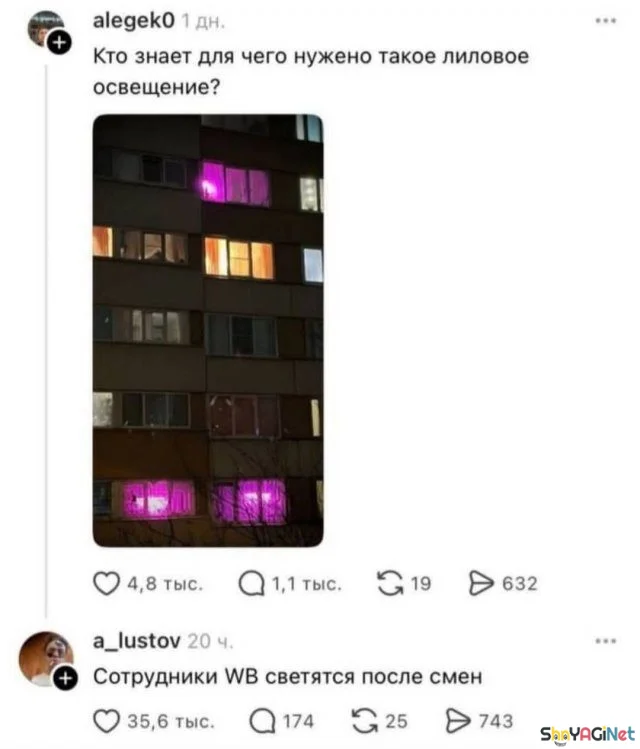 Смешные комментарии из соцсетей: августовская порция юмор, соцсети, комментарии, приколы