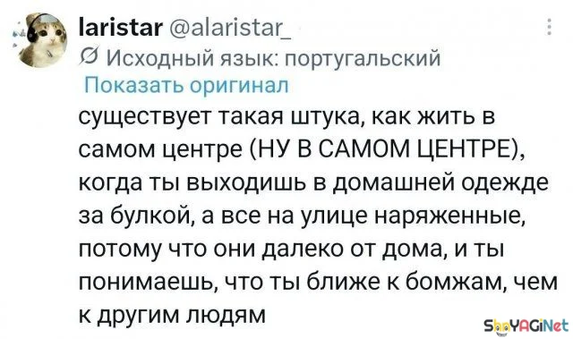 Смешные комментарии из соцсетей: августовская порция юмор, соцсети, комментарии, приколы
