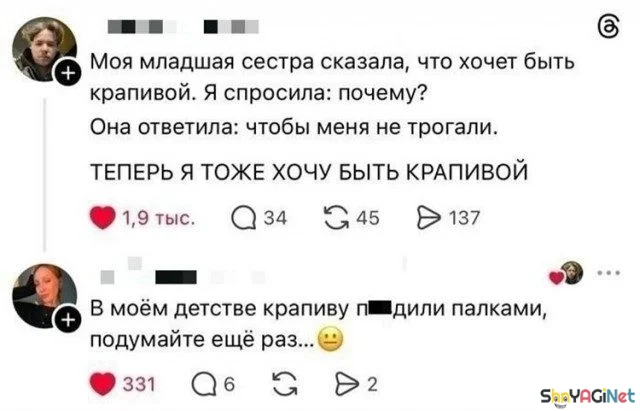 Смешные комментарии из соцсетей: августовская порция юмор, соцсети, комментарии, приколы