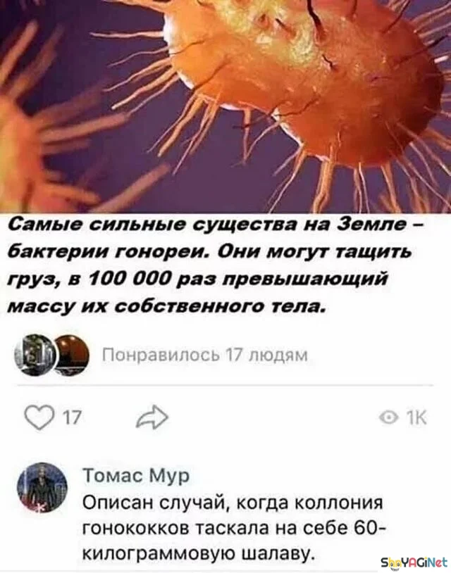 Смешные комментарии из соцсетей: августовская порция юмор, соцсети, комментарии, приколы