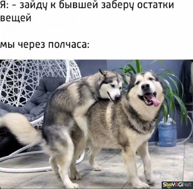 Свежий угар про отношения Свежий угар про отношения приколы, отношения, мужчины, женщины, демотиваторы