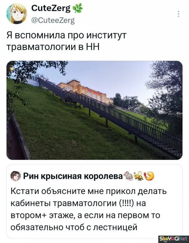 Смех без правил: убойные комментарии из сети приколы, комментарии, соцсети