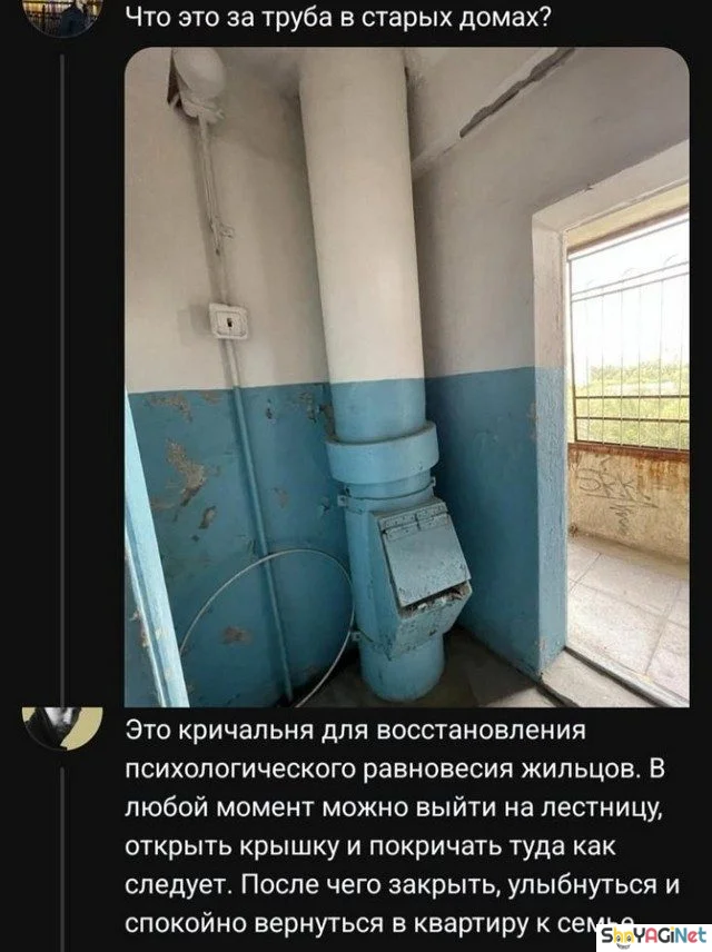 Смех без правил: убойные комментарии из сети приколы, комментарии, соцсети