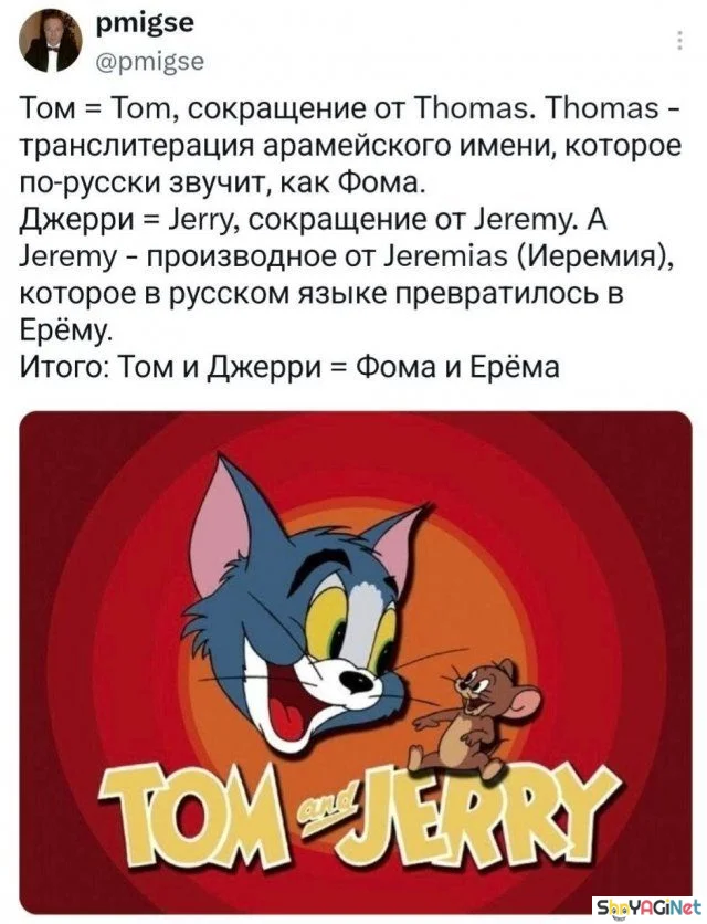 Смех без правил: убойные комментарии из сети приколы, комментарии, соцсети
