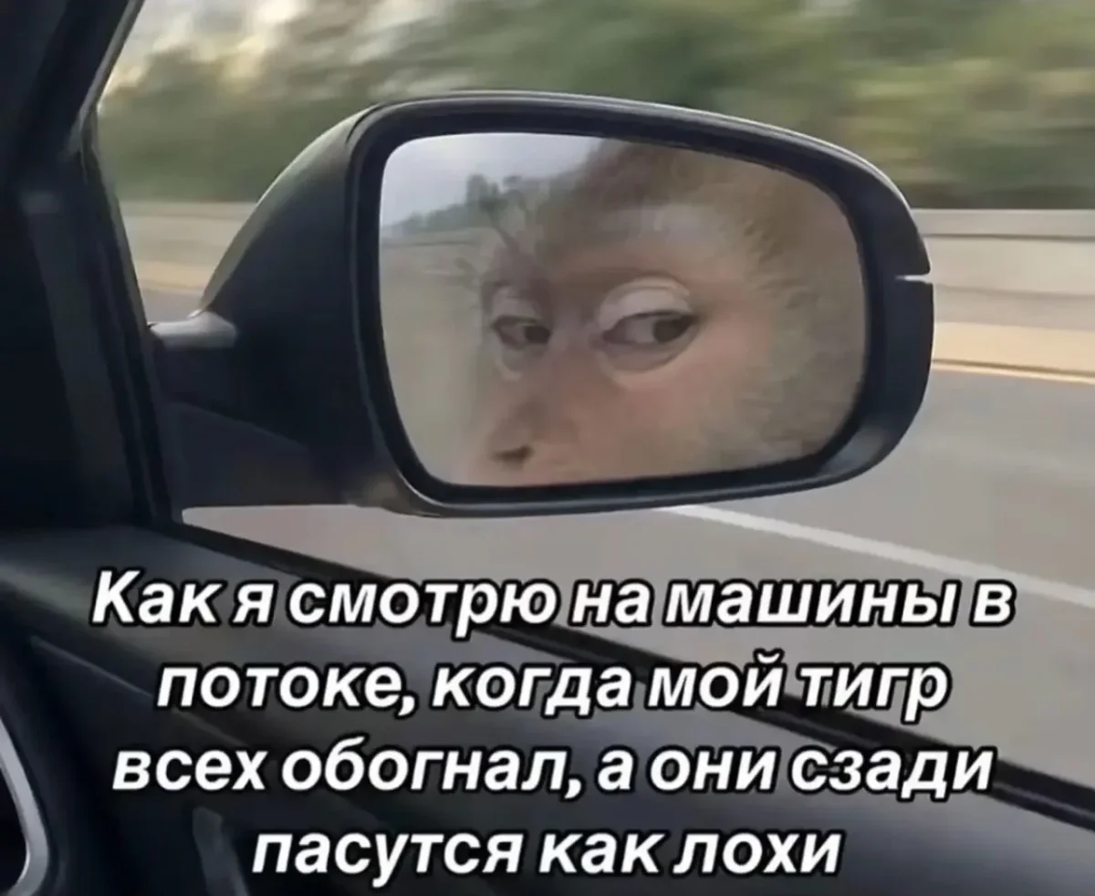 Пятничный юмор: смеёмся до выходных мемы, приколы, подборка, пятница, смешное