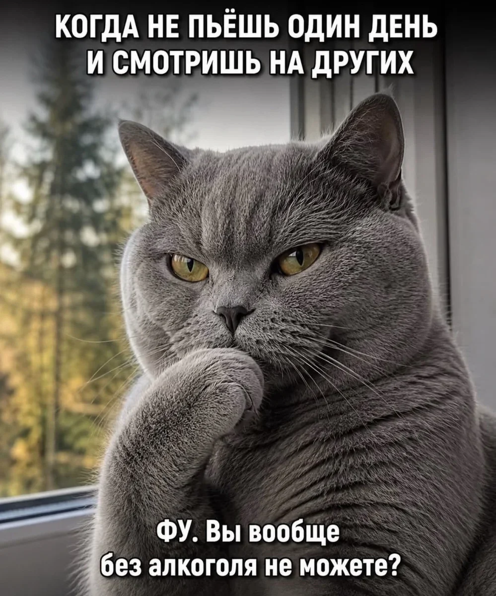 Пятничный юмор: смеёмся до выходных мемы, приколы, подборка, пятница, смешное