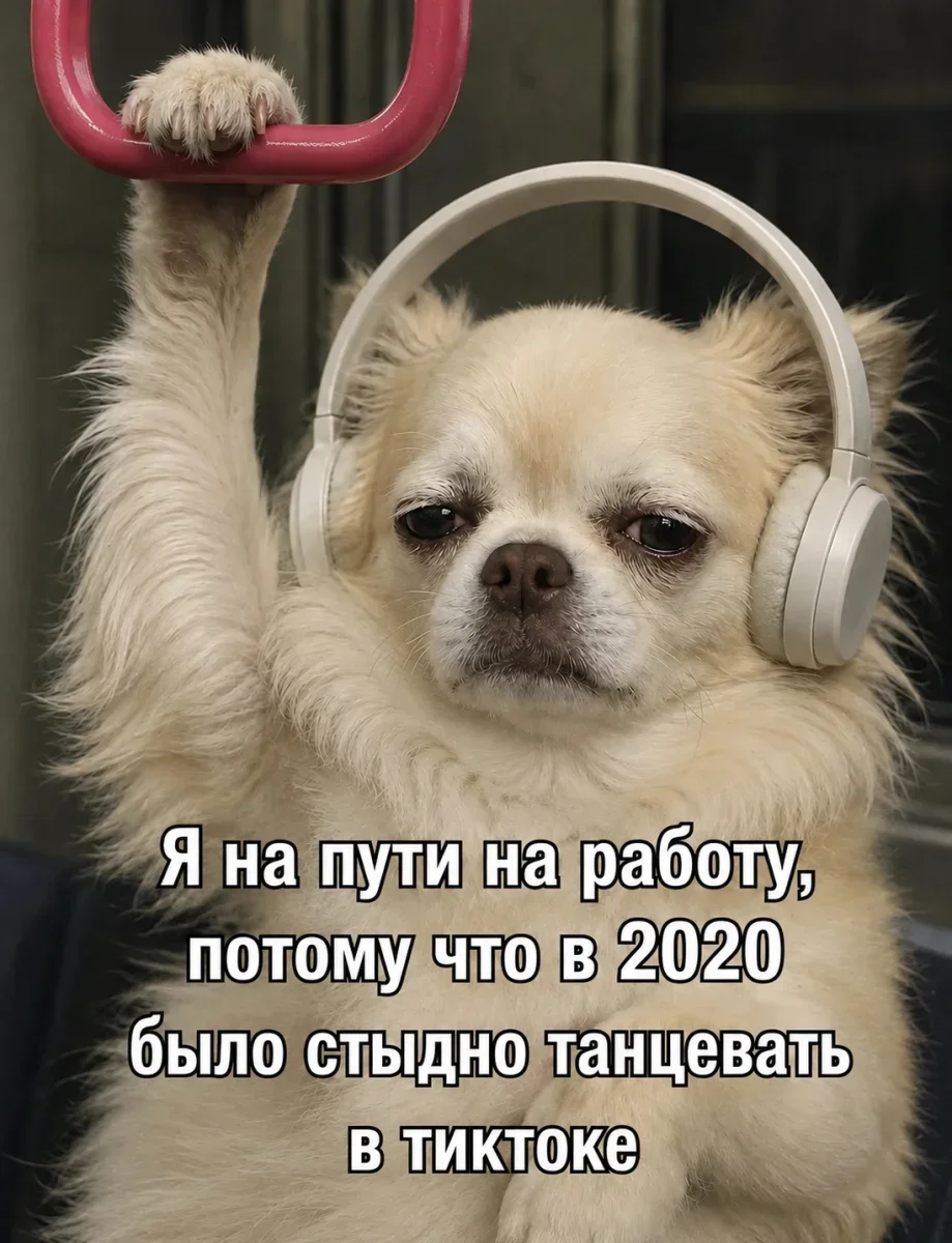 Пятничный юмор: смеёмся до выходных мемы, приколы, подборка, пятница, смешное