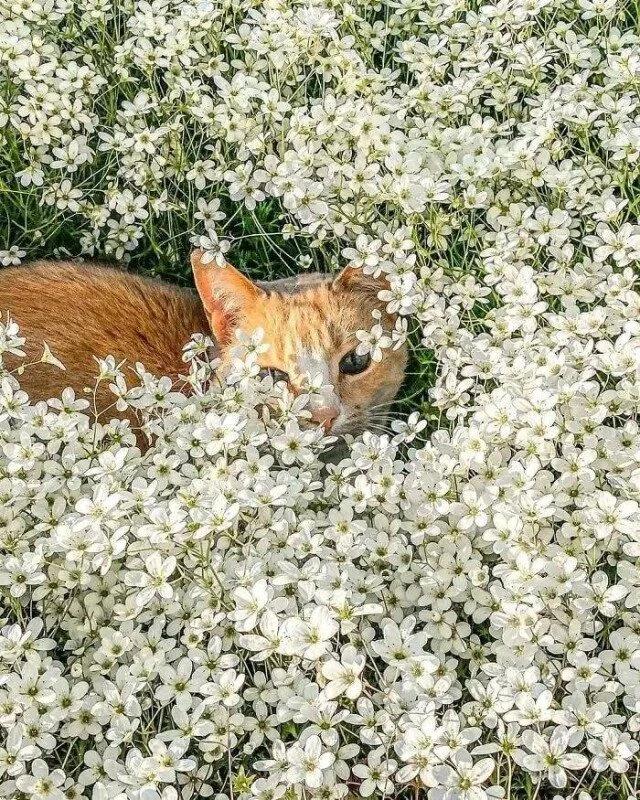 Кадры, которые греют душу Кадры, которые греют душу фото, настроение, позитив, уют, тепло, отдых, природа, релакс