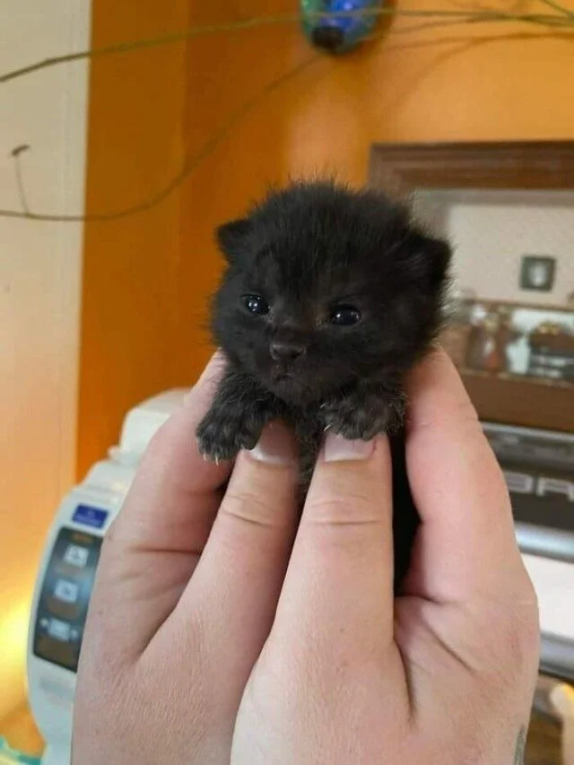 Кадры, которые греют душу Кадры, которые греют душу фото, настроение, позитив, уют, тепло, отдых, природа, релакс