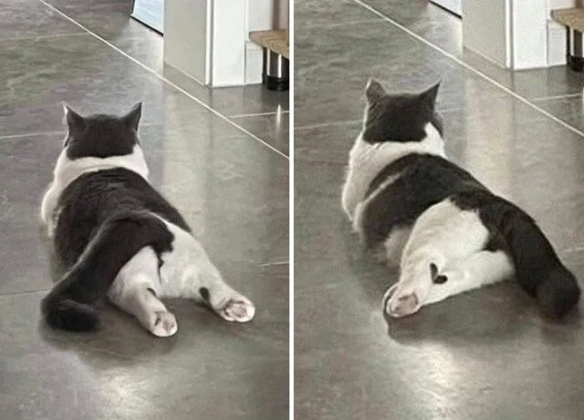 Кадры, которые греют душу Кадры, которые греют душу фото, настроение, позитив, уют, тепло, отдых, природа, релакс