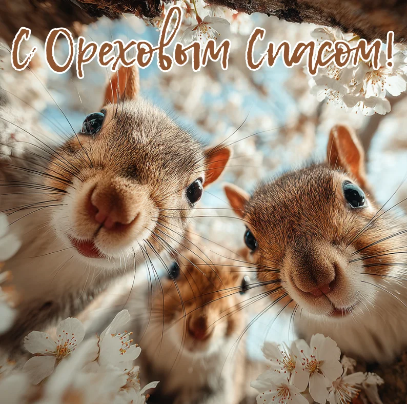 Ореховый Спас-2026: 35 душевных открыток для поздравлений Ореховый спас, Хлебный спас, открытки, поздравления, православие, праздник