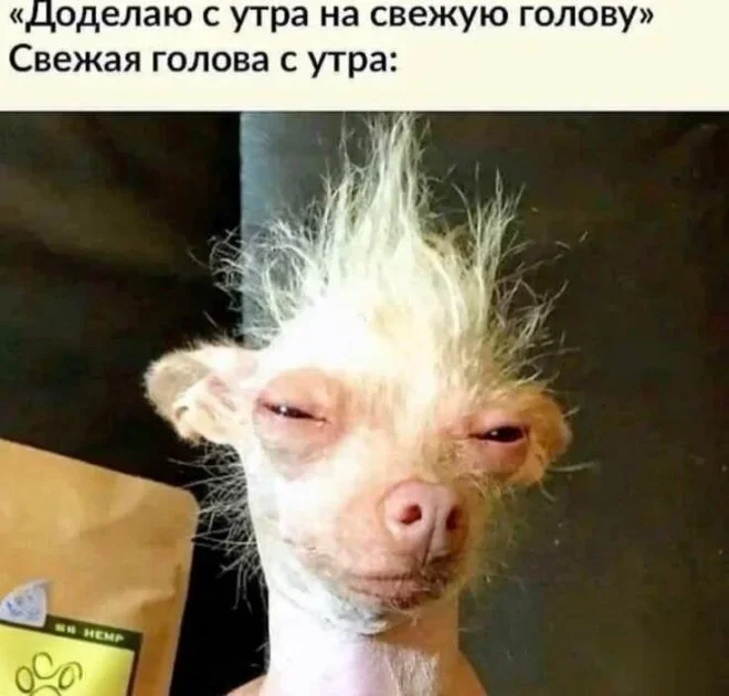 Мемная зарядка на субботу: 29 августа Мемная зарядка на субботу: 29 августа мемы, приколы, юмор, подборка, скоро в школу, тренировки, девушки
