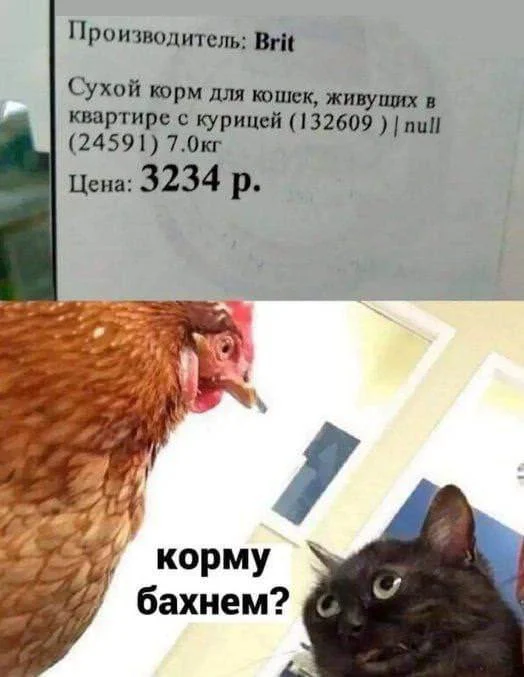 Мемная зарядка на субботу: 29 августа Мемная зарядка на субботу: 29 августа мемы, приколы, юмор, подборка, скоро в школу, тренировки, девушки