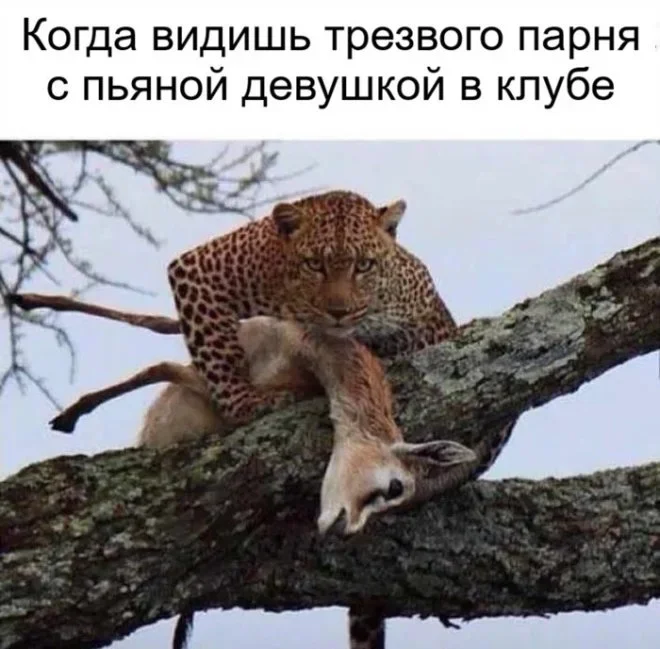Мемная зарядка на субботу: 29 августа Мемная зарядка на субботу: 29 августа мемы, приколы, юмор, подборка, скоро в школу, тренировки, девушки