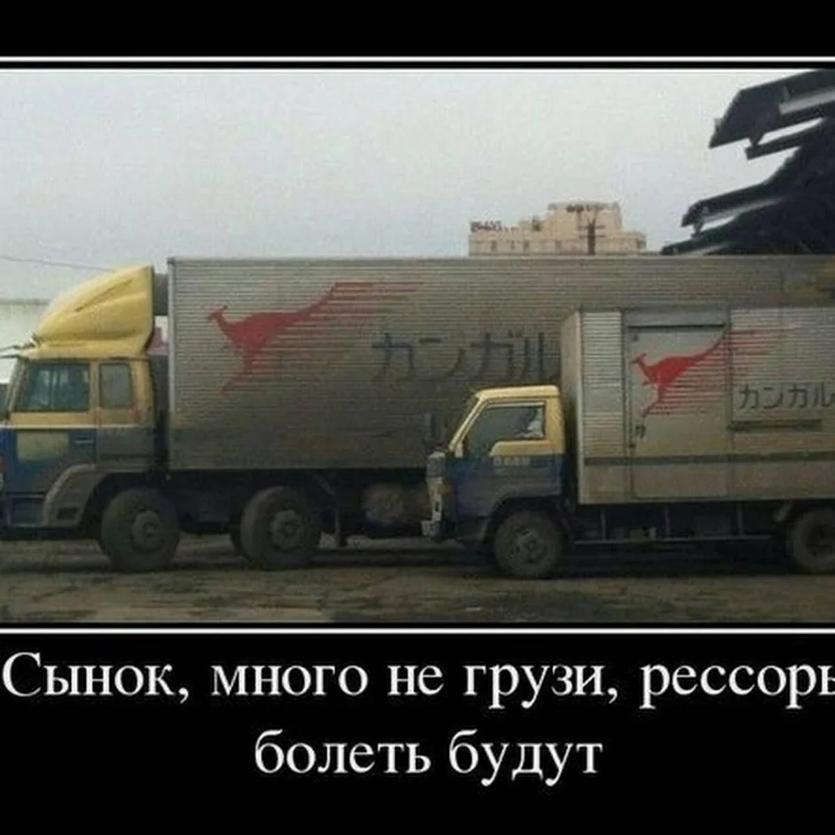 Смешные мемы и картинки про дальнобойщиков Смешные мемы и картинки про дальнобойщиков мемы, дальнобойщики, приколы, юмор, картинки