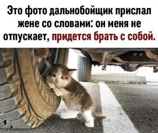 Смешные мемы и картинки про дальнобойщиков Смешные мемы и картинки про дальнобойщиков мемы, дальнобойщики, приколы, юмор, картинки
