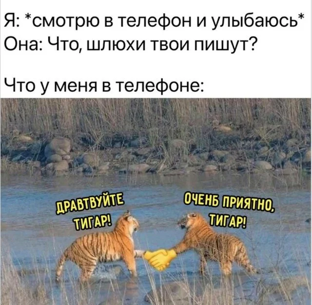 Случайные попадания в точку Случайные попадания в точку мемы, приколы, подборка, случайности