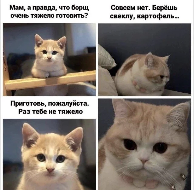 Случайные попадания в точку Случайные попадания в точку мемы, приколы, подборка, случайности