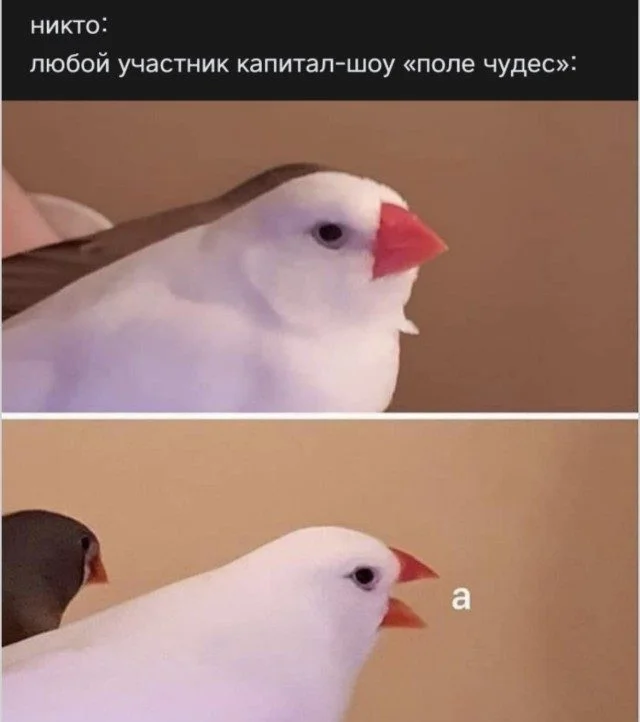 Случайные попадания в точку Случайные попадания в точку мемы, приколы, подборка, случайности