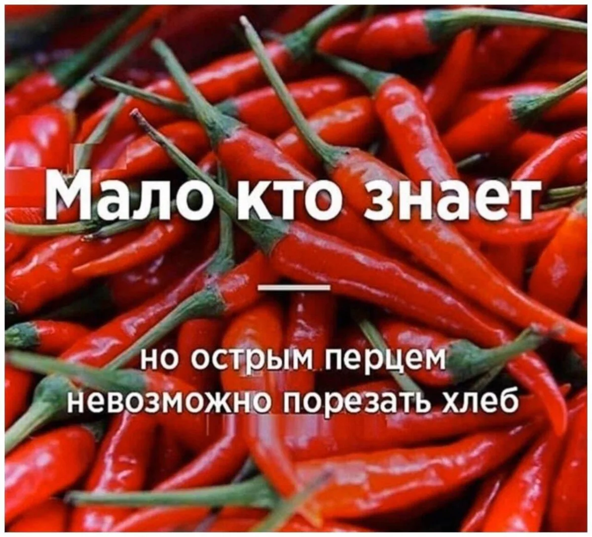 Батюшки, а хлеб-то веселит! Лучшие мемы ко дню Хлебного Спаса Батюшки, а хлеб-то веселит! Лучшие мемы ко дню Хлебного Спаса мемы, хлеб, приколы, юмор, подборка, праздник