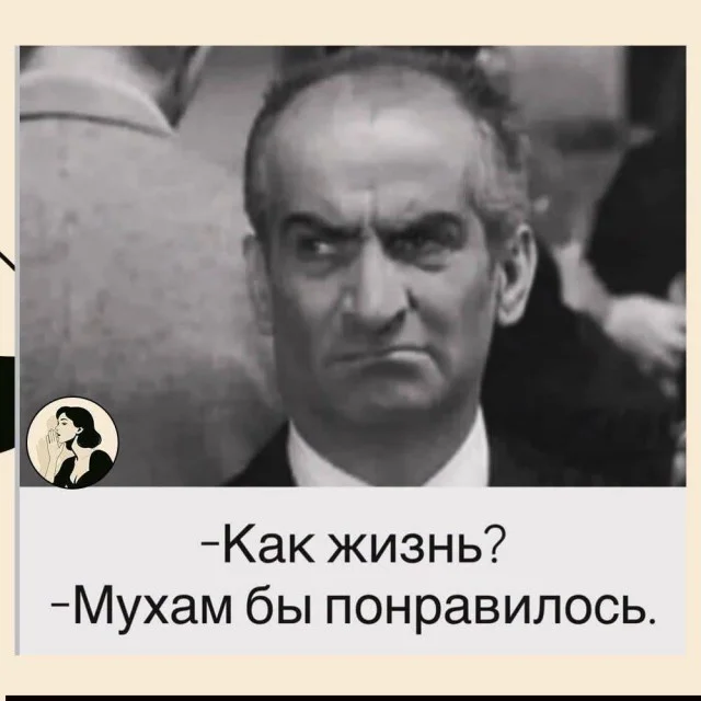Идеальное воскресенье: мемы для полного расслабления мемы, юмор, воскресенье, подборка