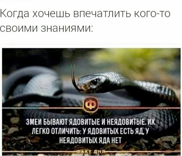 Идеальное воскресенье: мемы для полного расслабления мемы, юмор, воскресенье, подборка
