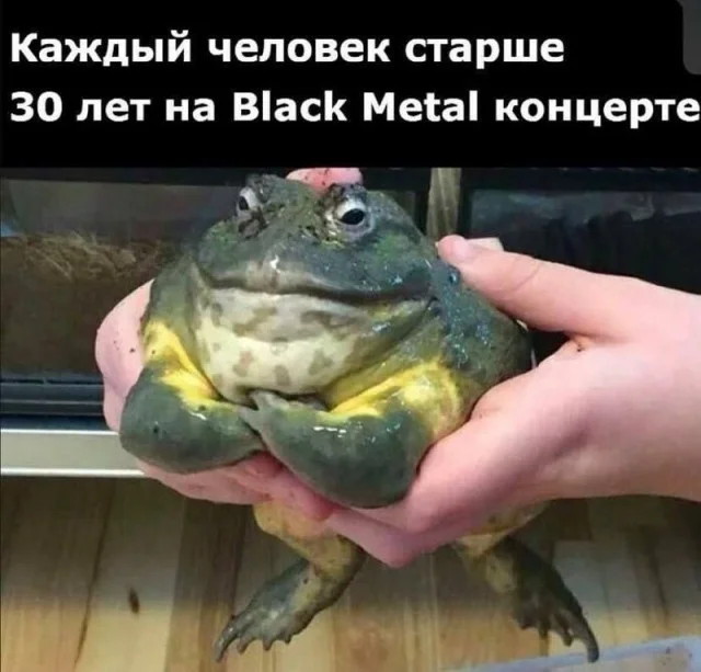 Идеальное воскресенье: мемы для полного расслабления мемы, юмор, воскресенье, подборка