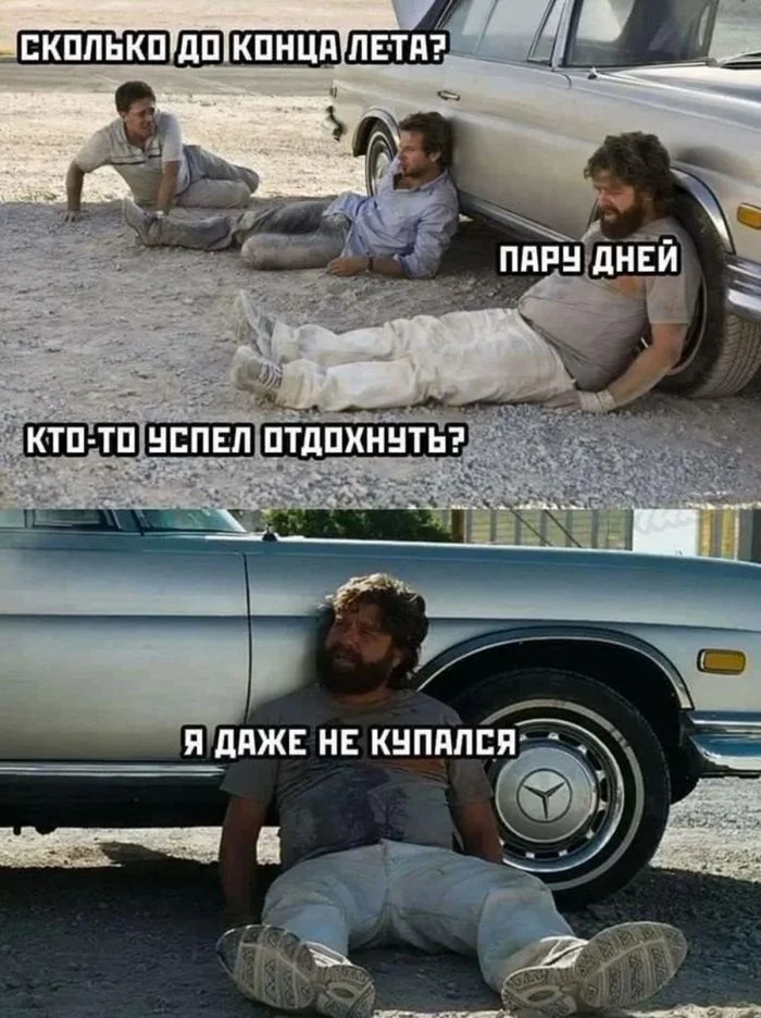 Идеальное воскресенье: мемы для полного расслабления мемы, юмор, воскресенье, подборка