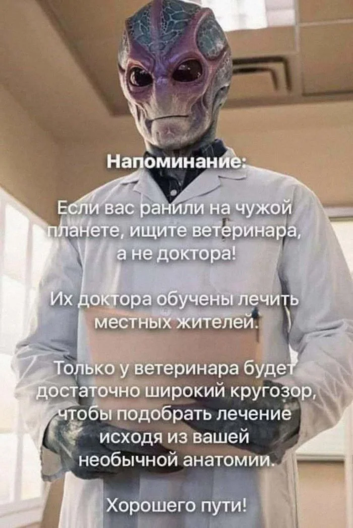 Идеальное воскресенье: мемы для полного расслабления мемы, юмор, воскресенье, подборка