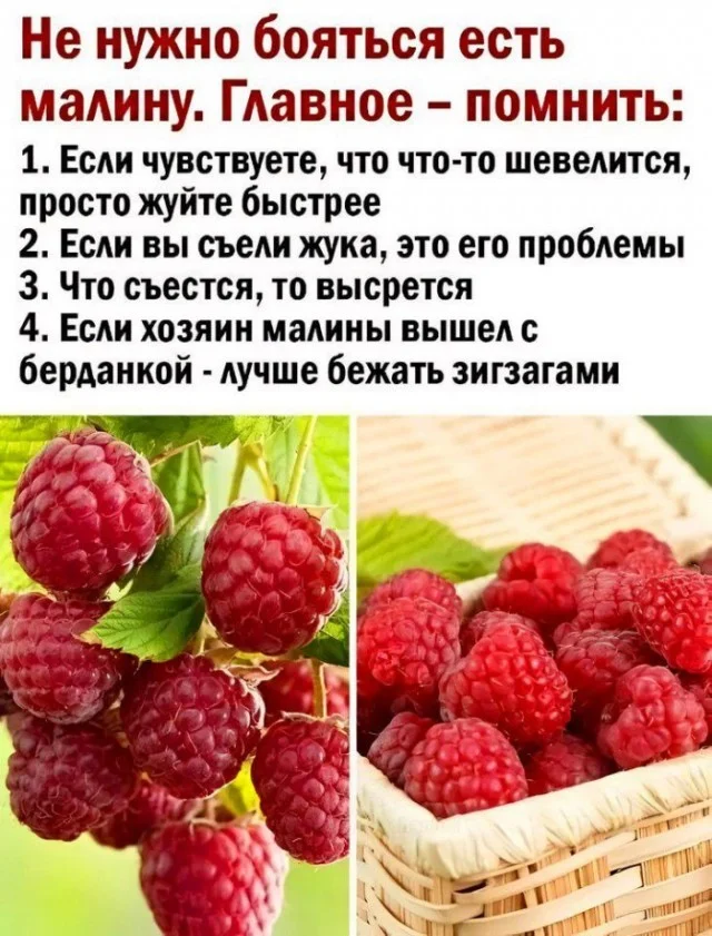 Идеальное воскресенье: мемы для полного расслабления мемы, юмор, воскресенье, подборка