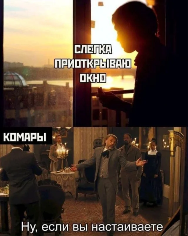 Идеальное воскресенье: мемы для полного расслабления мемы, юмор, воскресенье, подборка