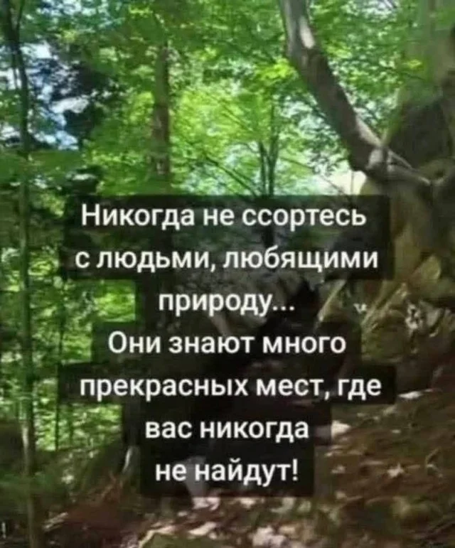 Идеальное воскресенье: мемы для полного расслабления мемы, юмор, воскресенье, подборка