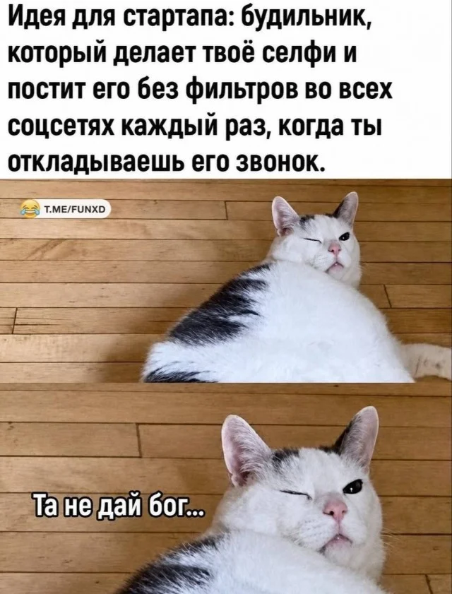 Идеальное воскресенье: мемы для полного расслабления мемы, юмор, воскресенье, подборка
