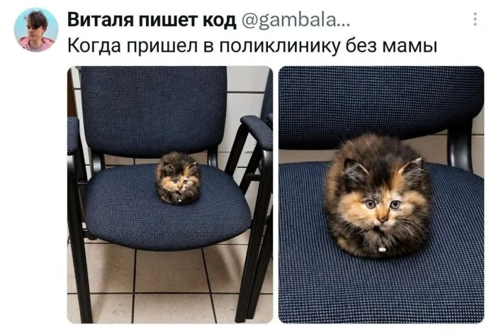 Циничная подборка: черный юмор без тормозов Циничная подборка: черный юмор без тормозов черный юмор, приколы, подборка, цинизм