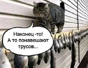 Свежая порция едкой сатиры и демотиваторов юмор, сатира, демотиваторы, подборка, злободневное