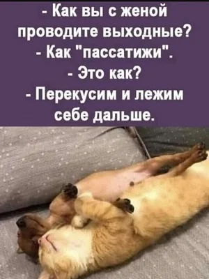 Смех сквозь зубы: подборка едких наблюдений юмор, сарказм, политика, работа, начальник