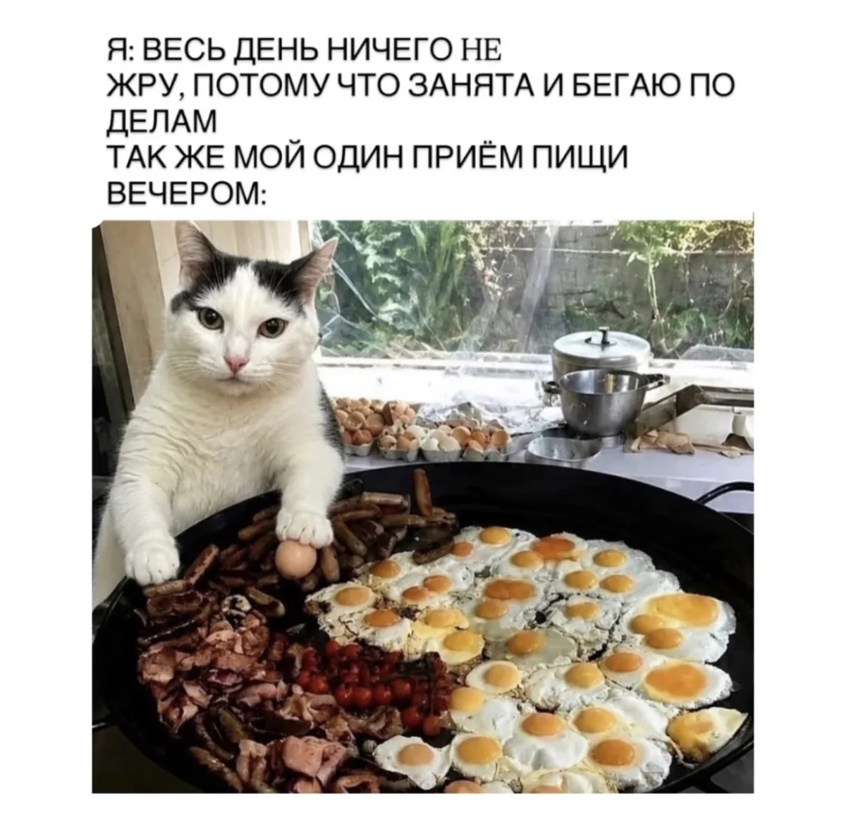 Воскресный юмор: то, что точно поднимет настроение юмор, мемы, приколы, осень, подборка